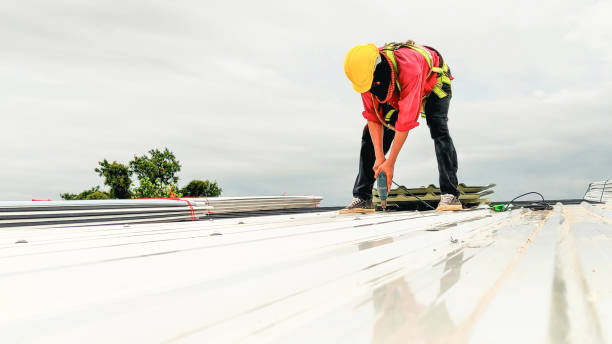 Steel Roofing in Woodland Park, CO